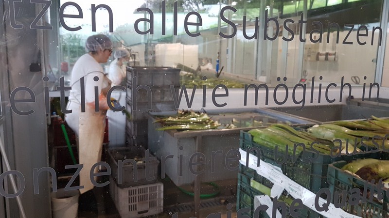 20181122 131949 [1600x1200]